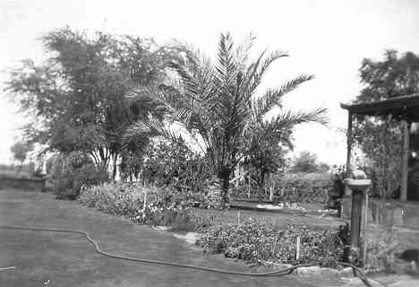 Cogla Front Garden